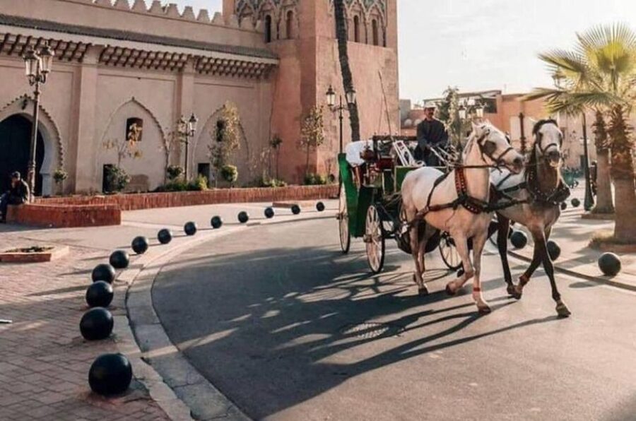 Marrakech: Hidden Souks Shopping Tour with Private Guide - The Most Important Warning: Pickup and Tour Length