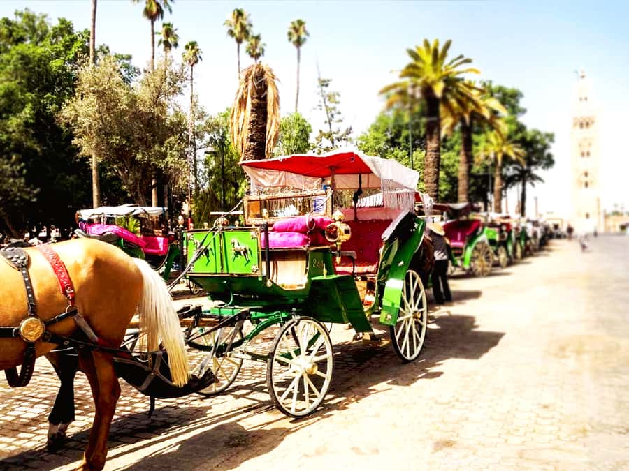 Marrakech: Horse-Drawn Carriage Tour - Key details before you book