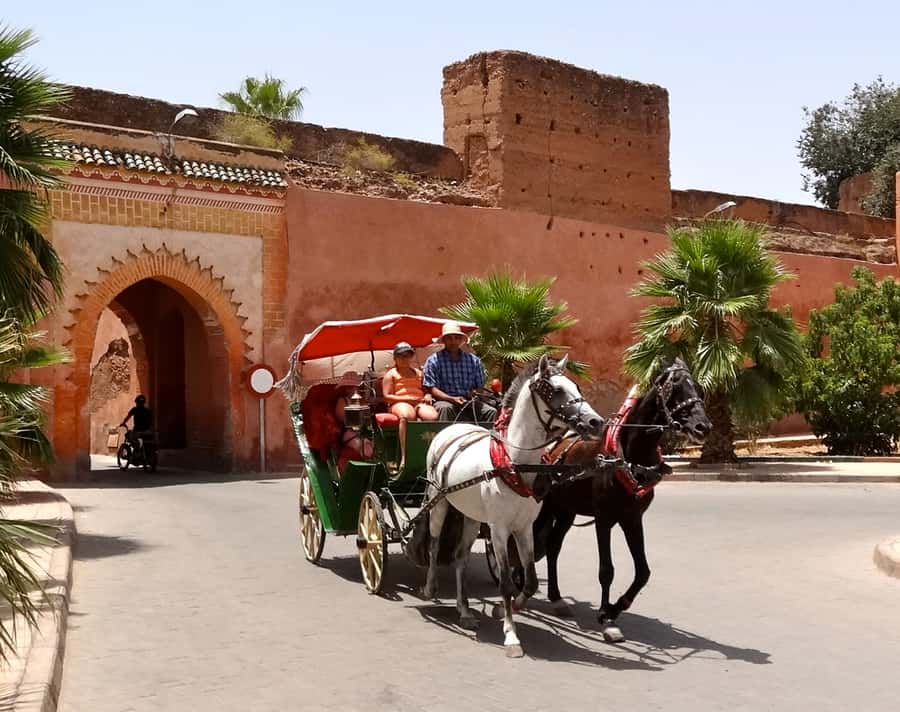 Marrakech: Horse-Drawn Carriage Tour - Why a carriage suits Marrakech