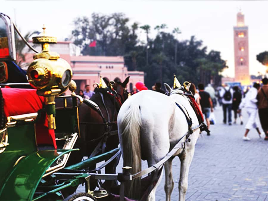 Marrakech: Horse-Drawn Carriage Tour - Koutoubia Mosque at sunset