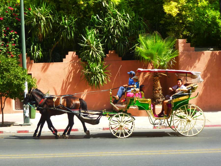 Marrakech: Horse-Drawn Carriage Tour - Starting with pickup from your hotel or riad