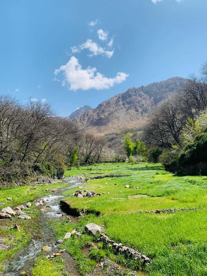 Marrakech: Imlil Atlas Mountains Day Trip with Lunch - Is $16 good value?