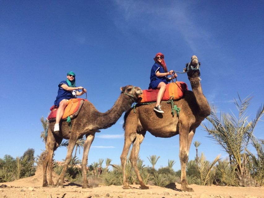 Marrakech: Majorelle Garden Entry Tickets Online - Key points to know before you book