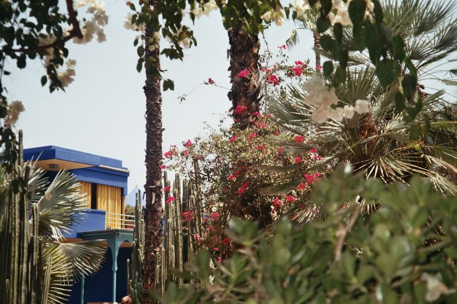 Marrakech: Majorelle Garden Entry Tickets Online - What you are really buying for $46