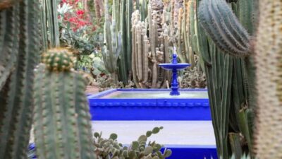 Majorelle Garden Entry Tickets Online