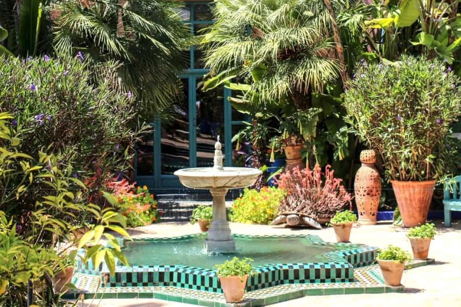 Marrakech: Majorelle Garden with a Digital Audio Guide App - What the one-hour visit is really like