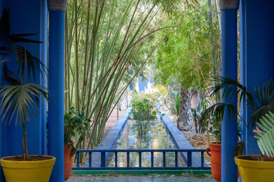 Marrakech: Majorelle Garden with a Digital Audio Guide App - The garden’s first story: Jacques Majorelle in the 1920s