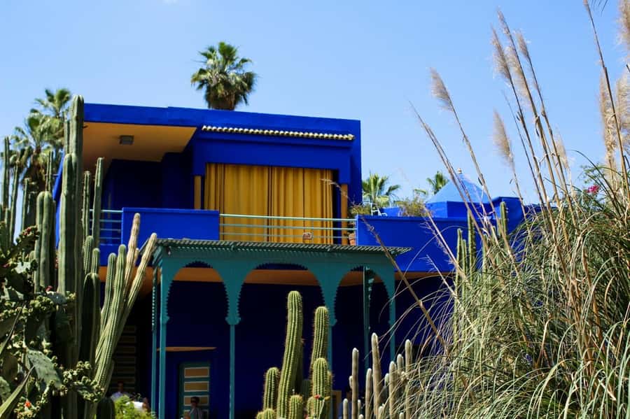 Marrakech: Majorelle Garden, YSL, and Berber Museum Entry - Key points to know before booking