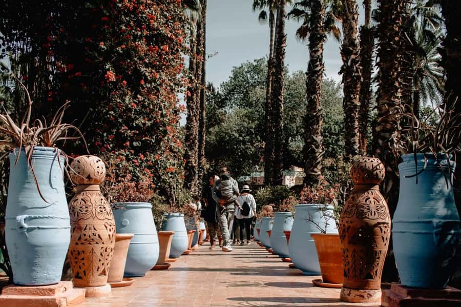 Marrakech: Majorelle Garden, YSL, and Berber Museum Entry - Is $58 good value?
