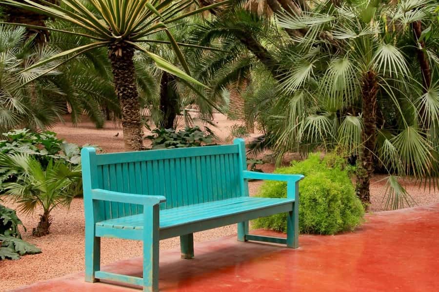 Marrakech: Majorelle Garden, YSL, and Berber Museum Entry - Who will enjoy this experience most?