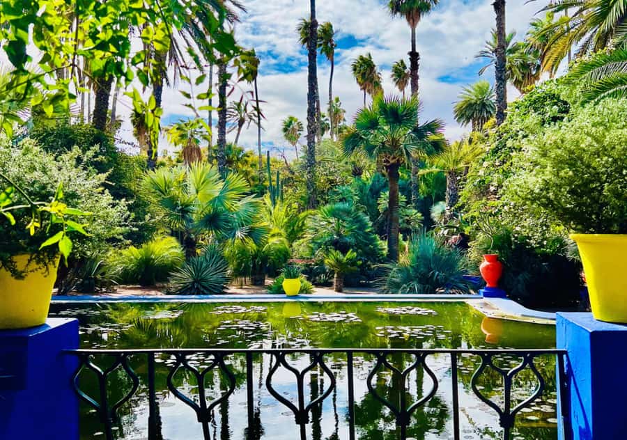Marrakech: Majorelle & Menara Garden Tour and Carriage Ride - Menara Gardens, olive trees, and the Atlas view