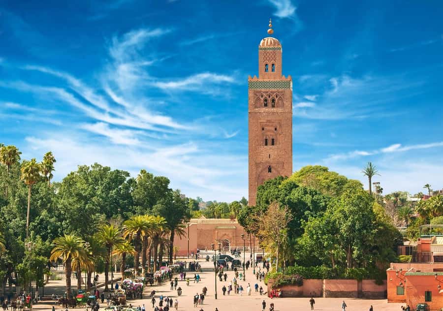 Marrakech: Majorelle & Menara Garden Tour and Carriage Ride - Practical advice for a smoother visit