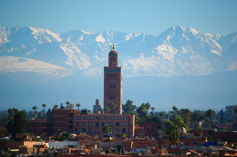 Marrakech: Moroccan Cooking Class with Amazing Local Chef! - Key Points Before You Book