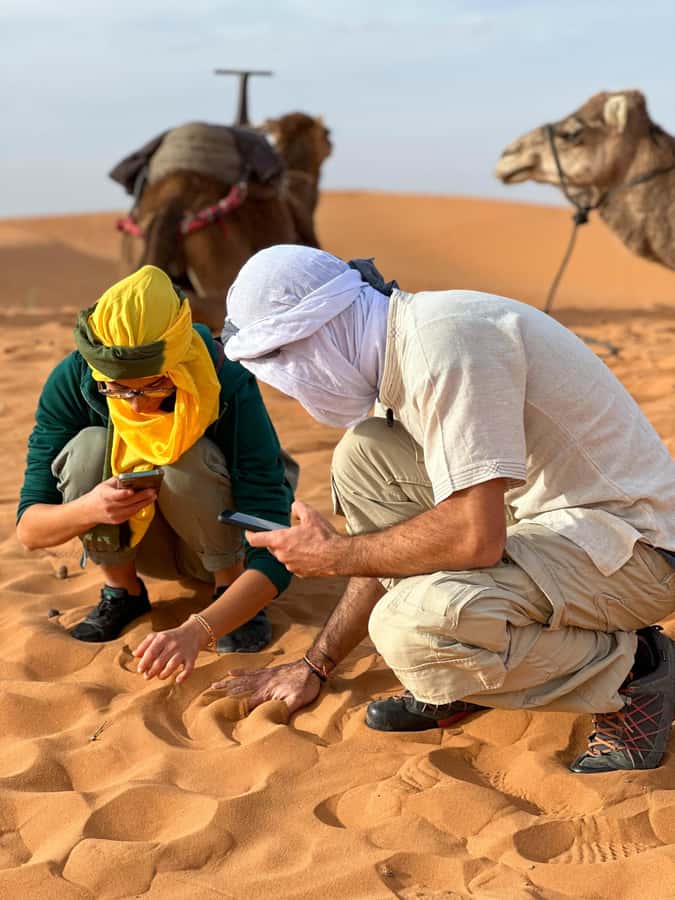 Marrakech/Ouarzazate: 2-Day Desert with Camel, 4x4 & Meals - The real shape of this two-day desert trip