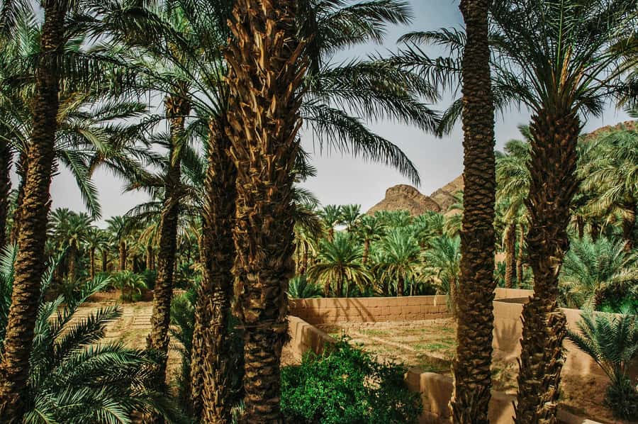 Marrakech/Ouarzazate: 2-Day Desert with Camel, 4x4 & Meals - Ait Ben Haddou, the trip’s big first stop