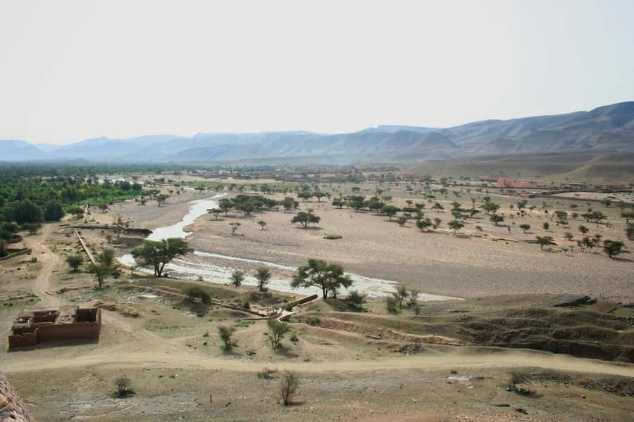 Marrakech/Ouarzazate: 2-Day Desert with Camel, 4x4 & Meals - Arriving in Zagora and meeting the camels