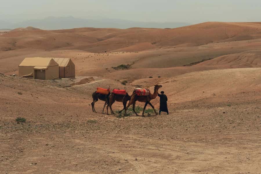 Marrakech/Ouarzazate: 2-Day Desert with Camel, 4x4 & Meals - Crossing the High Atlas from Marrakech