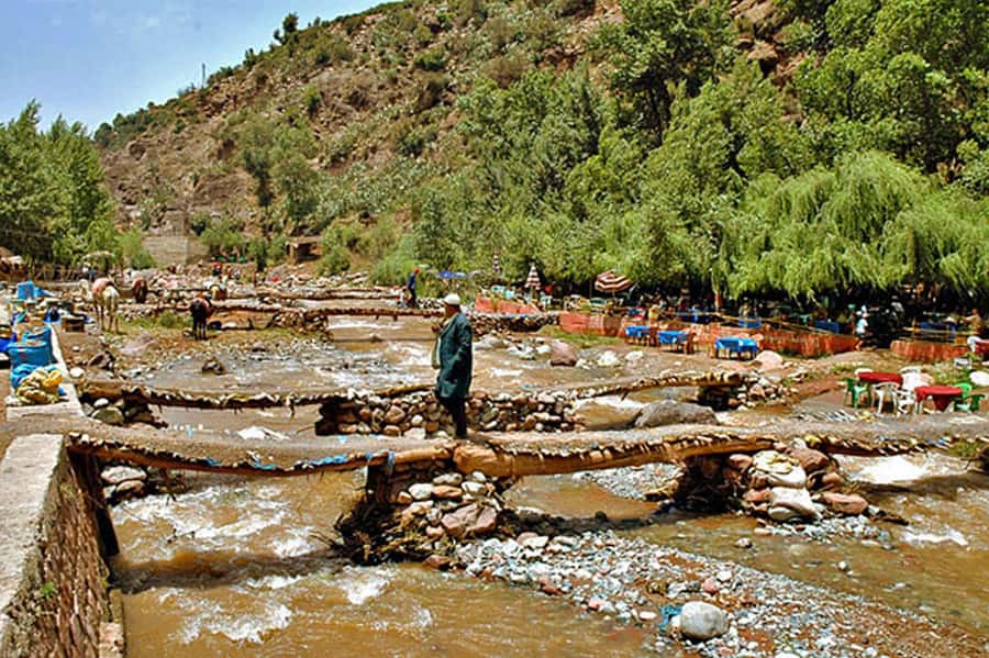 Marrakech: Ourika Valley and Atlas Mountains Day Trip - Should you book it?