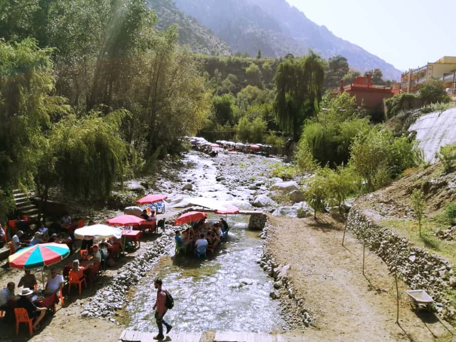 Marrakech: Ourika Valley and Atlas Mountains Day Trip - Who should book this Ourika Valley trip?