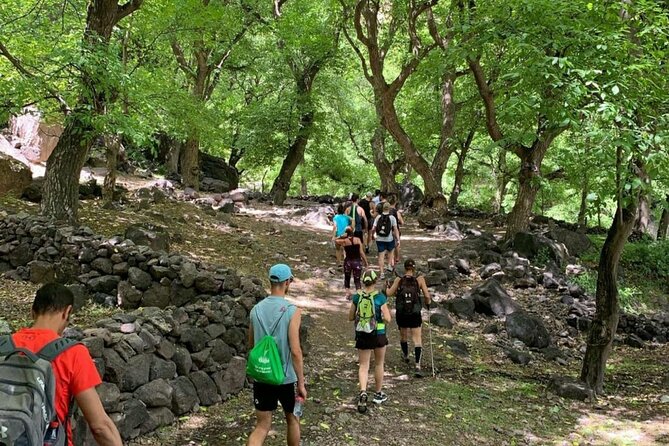Marrakech: Ourika Valley, Atlas Mountains, Waterfalls & Lunch - Practical advice before you go