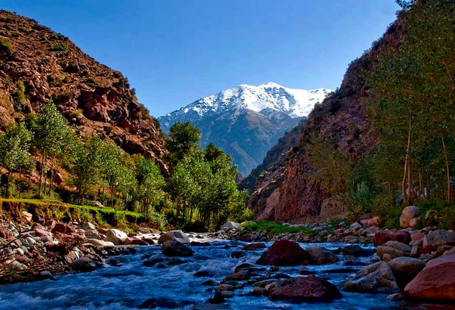 Marrakech: ourika valley Atlas Mountains & Waterfalls Trip - Argan oil and the women’s cooperative
