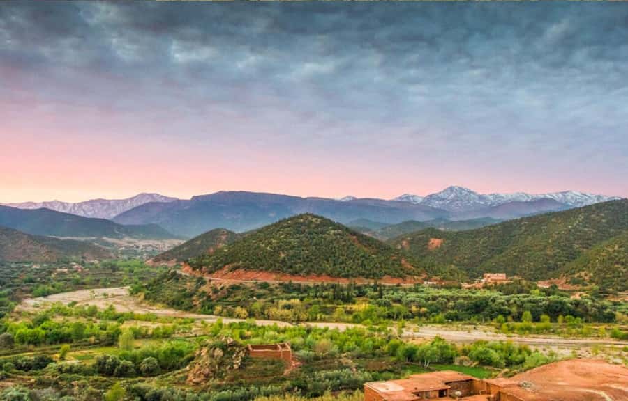 Marrakech: Ourika Valley Day Trip & Waterfalls Hike - Berber villages and the traditional house visit