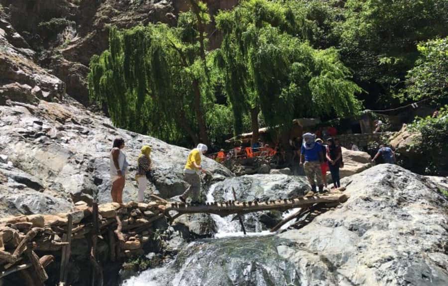 Marrakech: Ourika Valley Day Trip & Waterfalls Hike - What to expect at the argan oil cooperative
