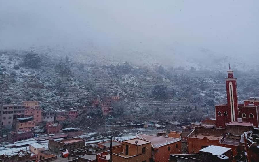 Marrakech: Ourika Valley Day Trip with Berber Village - Booking details worth checking