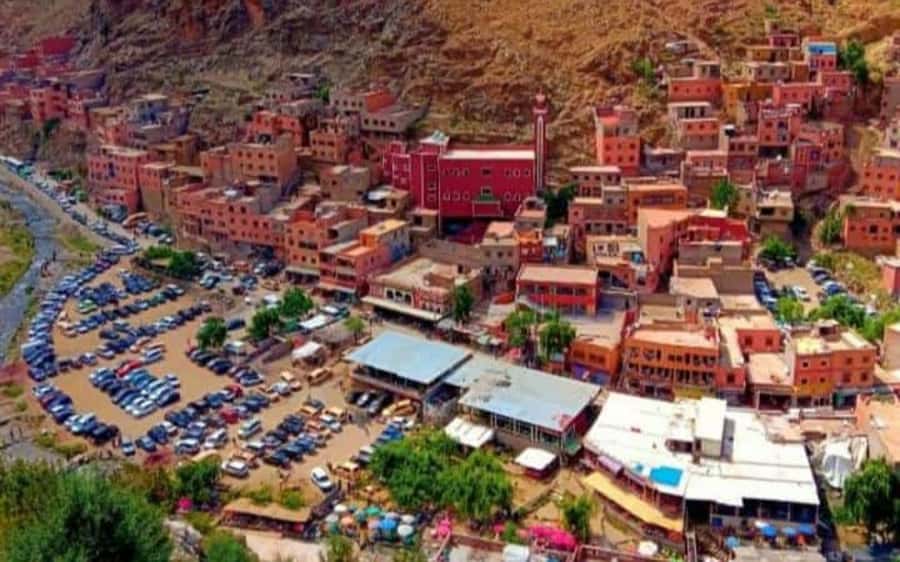 Marrakech: Ourika Valley Day Trip with Berber Village - Who will enjoy this Ourika Valley outing?