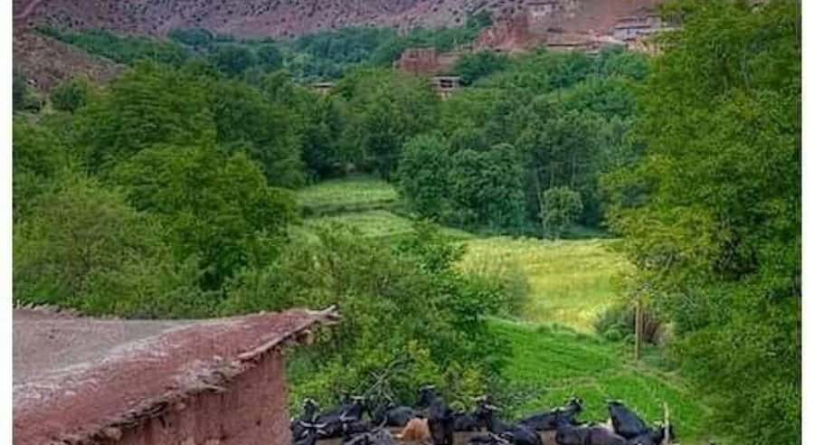 Marrakech: ourika valley lunch & guided hike to waterfalls - Lunch by the Ourika River