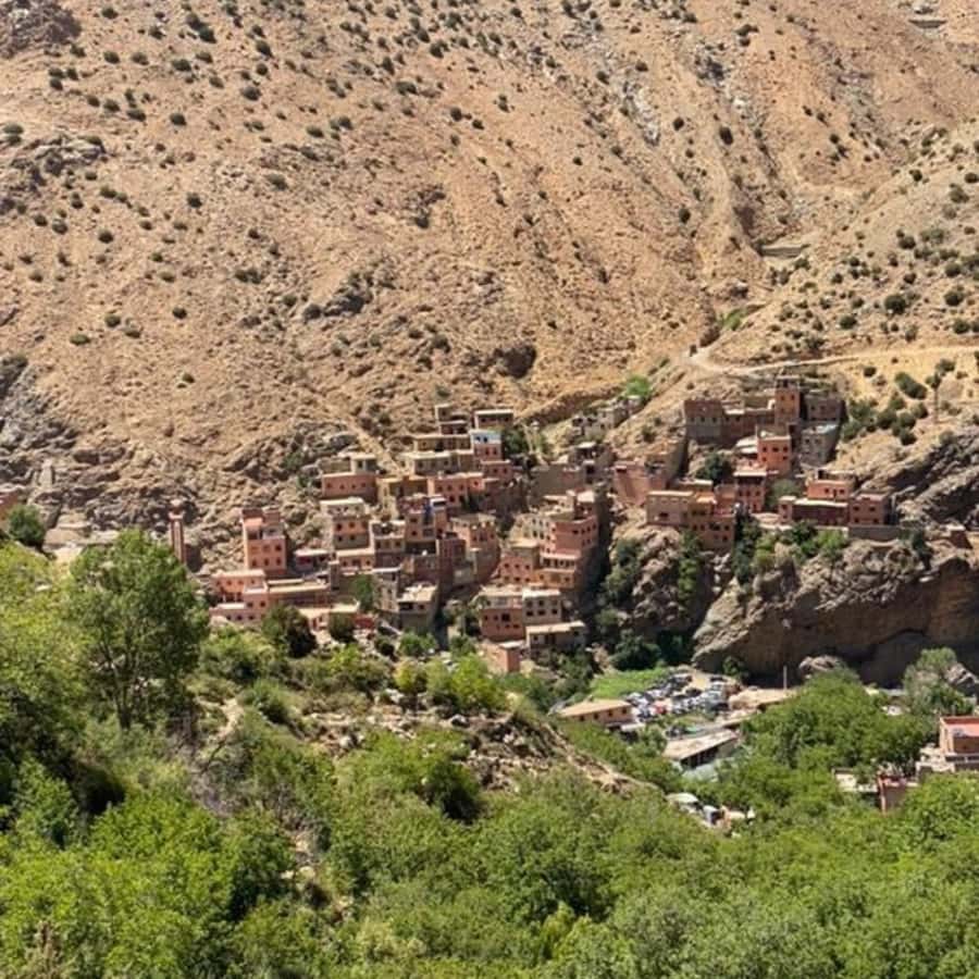 Marrakech: Ourika Valley & Setti Fatma Waterfalls with Lunch - Who should book this Ourika Valley trip?