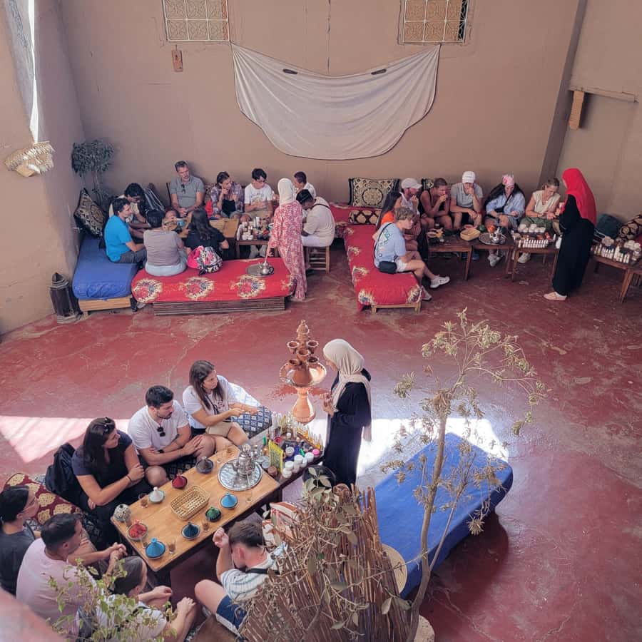 Marrakech: Ourika Valley & Setti Fatma Waterfalls with Lunch - Practical advice for a smoother day