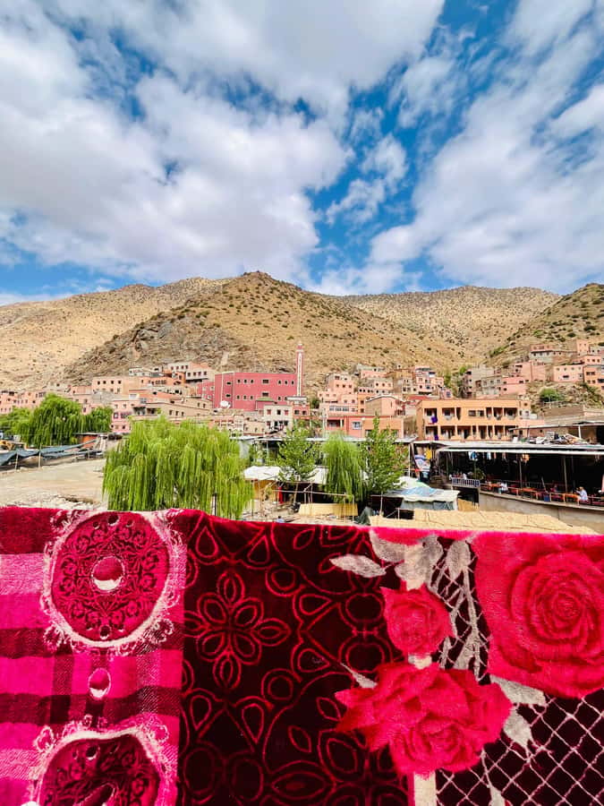 Marrakech: ourika valley & waterfall Day Trip with guide - Tea and argan oil at the women’s cooperative