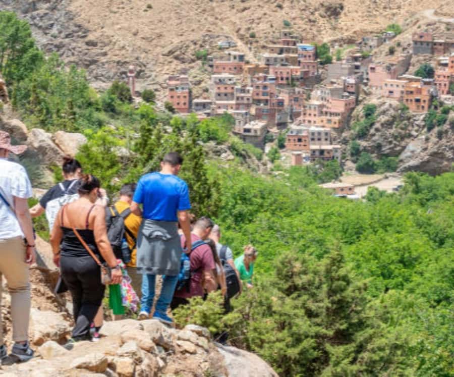 Marrakech: Ourika Valley,Waterfalls, Atlas Luxury Day trip - The argan oil cooperative: useful, but commercial