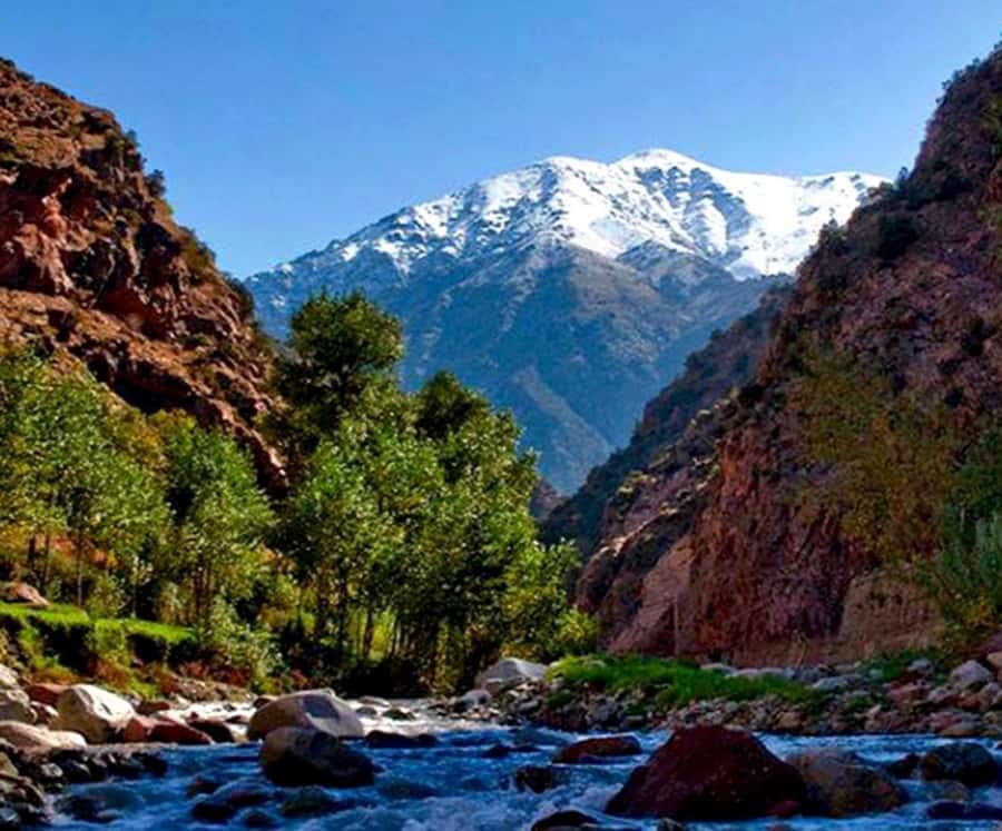 Marrakech: Ourika Valley,Waterfalls, Atlas Luxury Day trip - Seven medium waterfalls, cool water, and realistic expectations