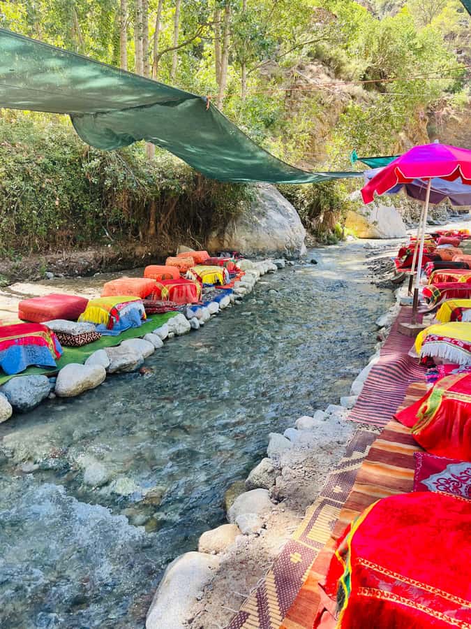 Marrakech: Ourika Valley Waterfalls & Atlas Mountains Trip - The argan oil cooperative and Berber culture
