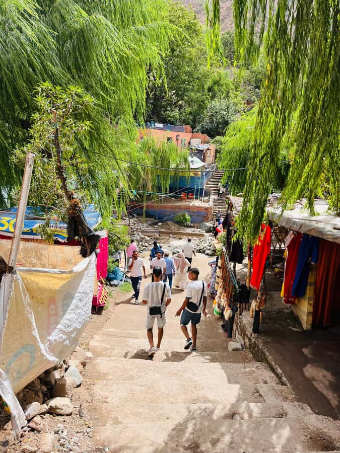 Marrakech: Ourika Valley Waterfalls & guided hike - The argan oil cooperative stop