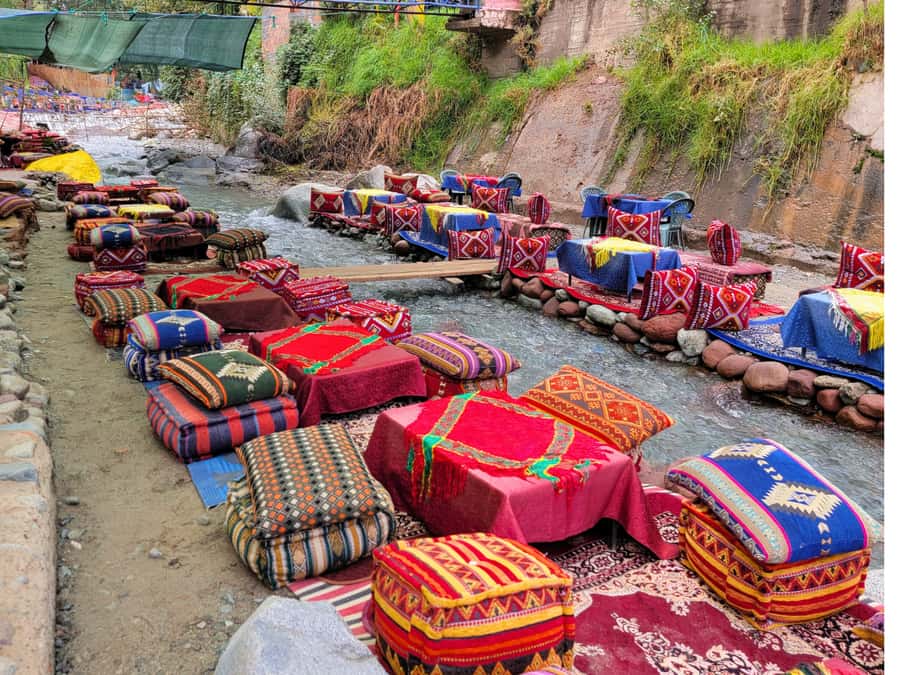 Marrakech: Ourika Valley & Waterfalls Guided Tour with Lunch - Who Should Book This Ourika Valley Tour?