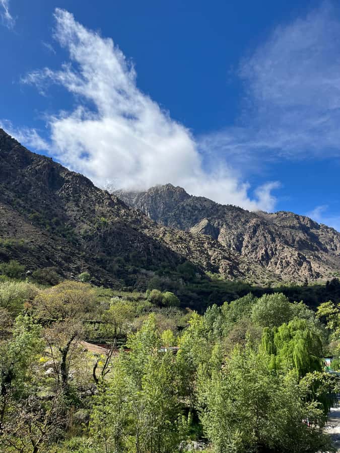 Marrakech: Ourika Valley Waterfalls Hike & Traditional Lunch - What the $25 price really offers