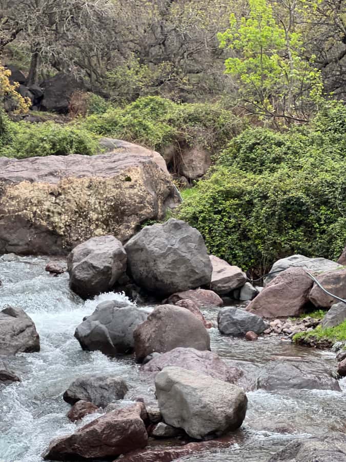 Marrakech: Ourika Valley Waterfalls Hike & Traditional Lunch - Practical tips for a smoother day