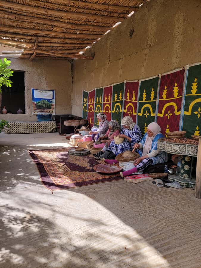 Marrakech: Ourika Valley, Waterfalls Private Trip with Lunch - Should you book the Ourika Valley private trip?