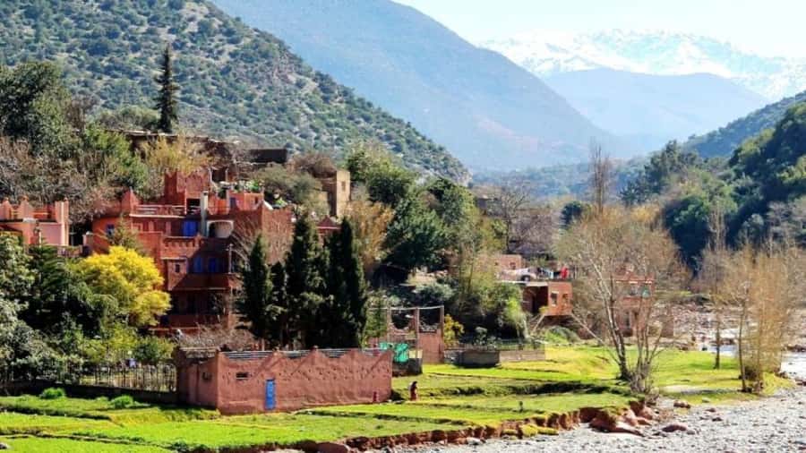 Marrakech: Ourika Valley waterfalls with guide& Berber lunch - The Ourika Falls hike: beautiful, rocky, and not for everyone