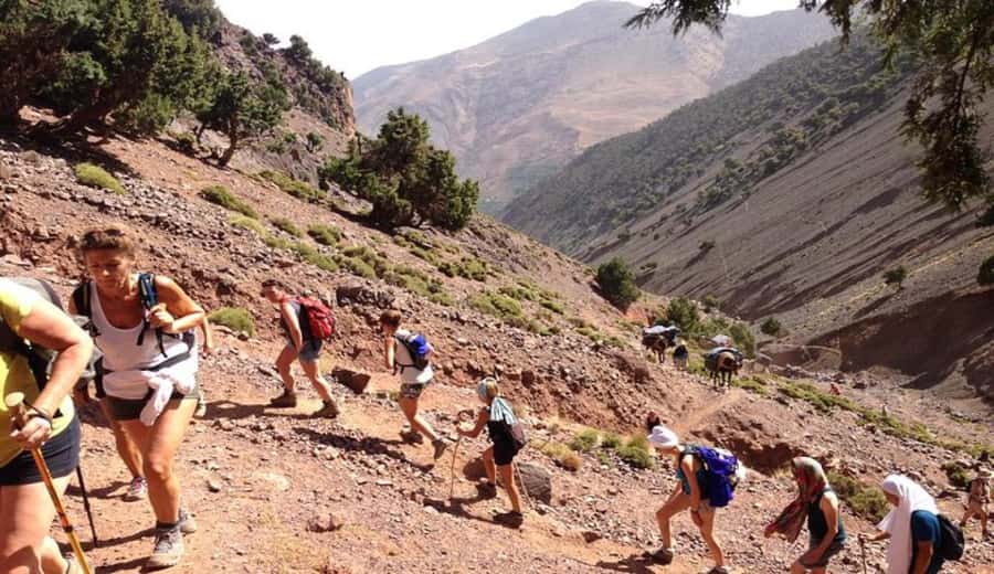Marrakech: Ourika Valley waterfalls with guide& Berber lunch - Guides make the difference