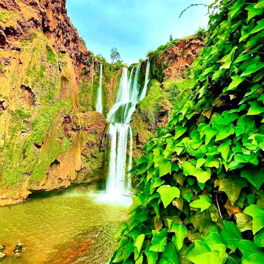 Marrakech: Ouzoud Waterfall, Guided Hike, Boat Ride & Lunch - The 20-minute boat ride below the falls