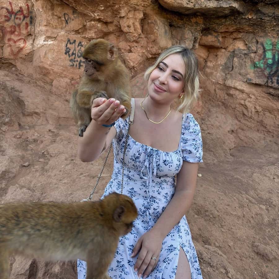 Marrakech: Ouzoud Waterfall, Guided Hike, Boat Ride & Lunch - What the $16 price really includes