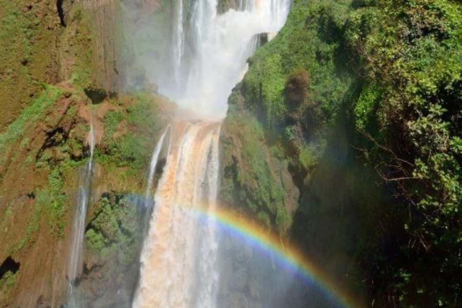 Marrakech: Ouzoud Waterfalls Trip, Guided Hike & Boat Option - Monkeys, photos, and a little caution