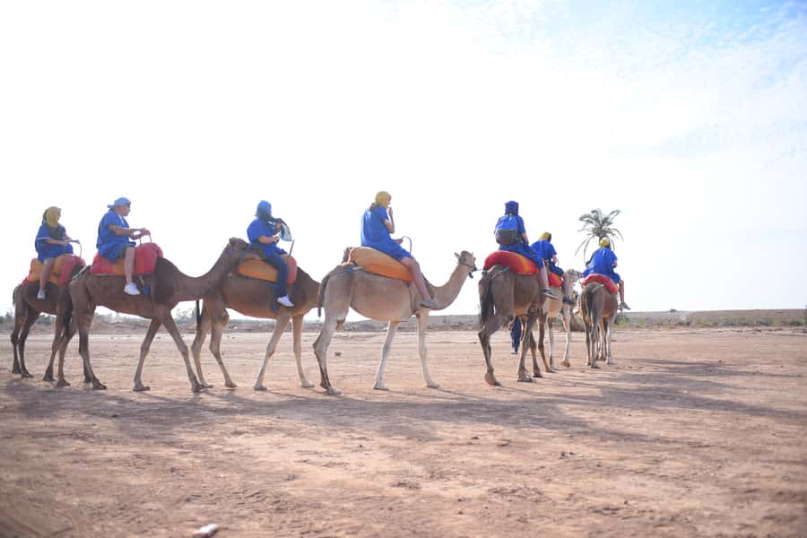 Marrakech: pack quad and camel ride in the palm grove - What this Marrakech outing is really like