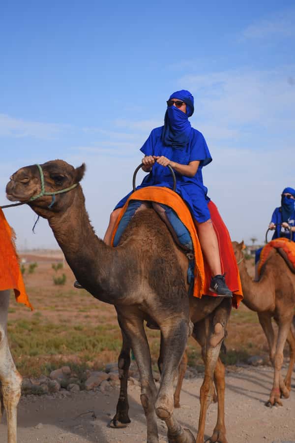 Marrakech: pack quad and camel ride in the palm grove - Two hours through the rocky desert and palms