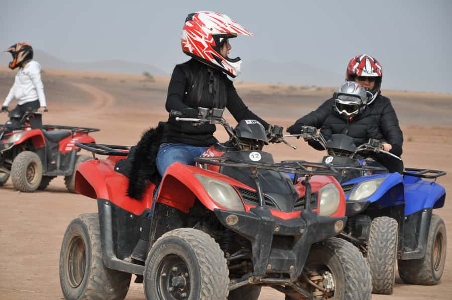 Marrakech: pack quad and camel ride in the palm grove - Mint tea, bread, honey, and a welcome pause