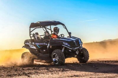 Palm Grove and Desert Buggy excursion